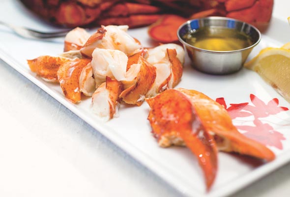 Steamed lobster with drawn butter