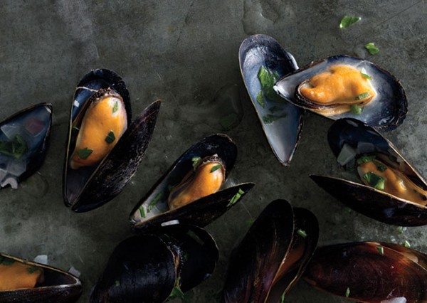Steamed mussels in white wine
