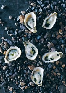 Steamed oysters and aged apple cider emulsion