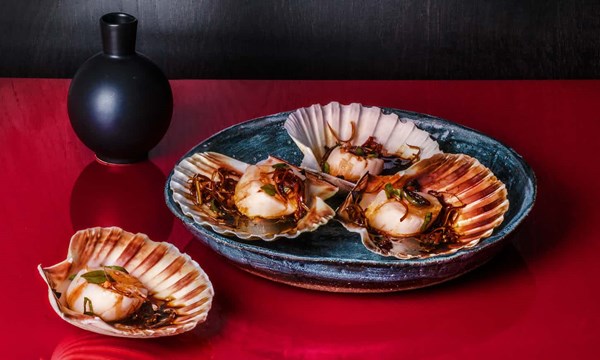 Steamed scallops in the shell