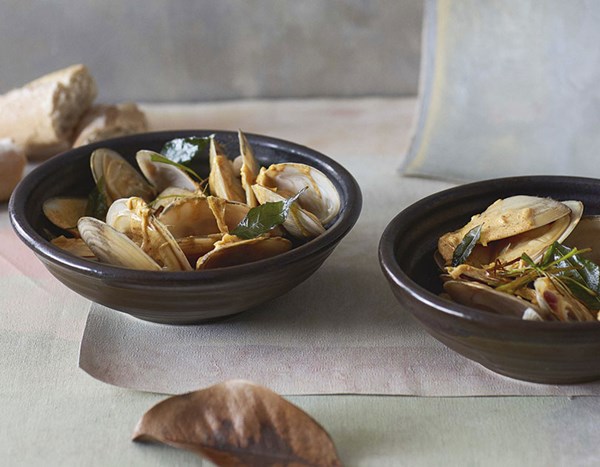 Steamed tuatua with creme fraiche curry sauce