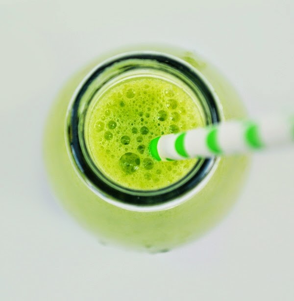 Stegosaurus smoothie