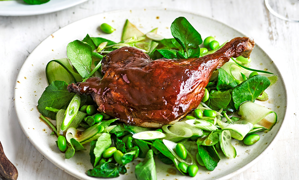 Sticky duck with cucumber and spring onion salad