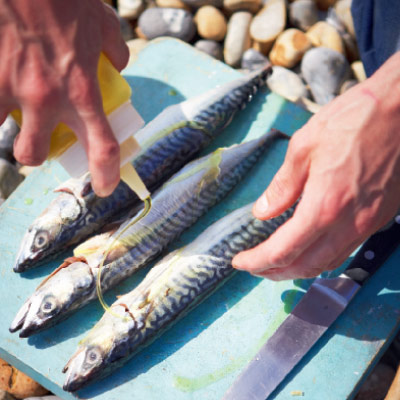 Sticky mackerel