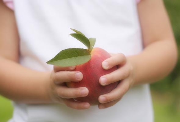 Stone fruit