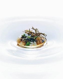 Stonepot organic green rice & buckwheat, roasted seaweed, shiitake skin, pig cheek