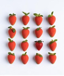 Strawberries incognito 