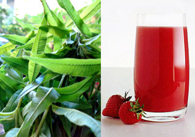 Strawberry and lemon verbena summer drink