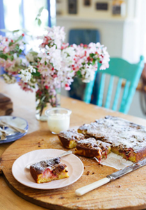 Strawberry and pecan streusel cake