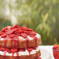Strawberry and rose water vanilla sponge