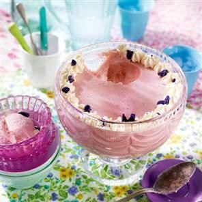 Strawberry blancmange