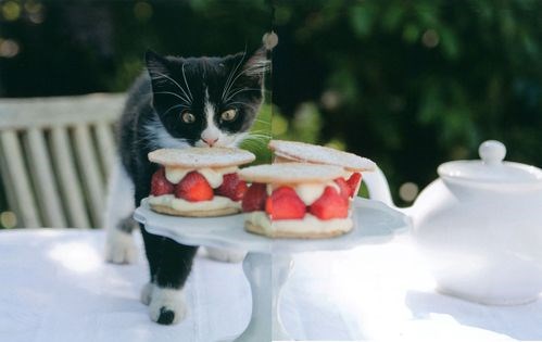 Strawberry cream fancies