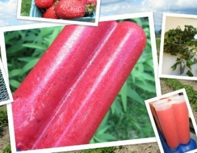 Strawberry-mint popsicle