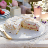 Strawberry ripple baked Alaska