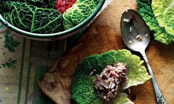 Stuffed cabbage leaves