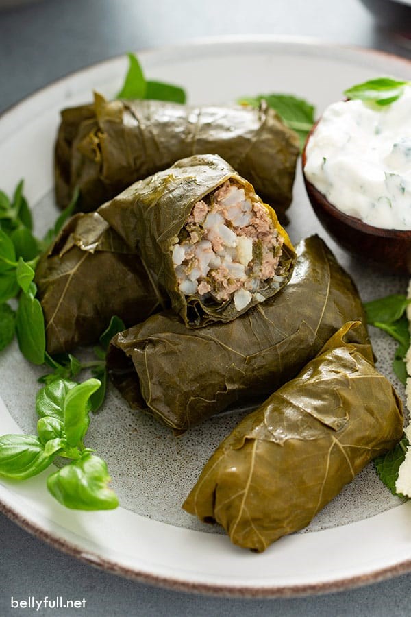 Stuffed grape leaves (Dolma)