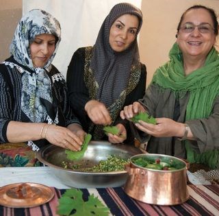 Stuffed grape leaves (Dolmeh-ye balg-e mo-Tabrizi)