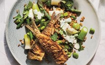 Stuffed herring with rye, broad bean and asparagus salad
