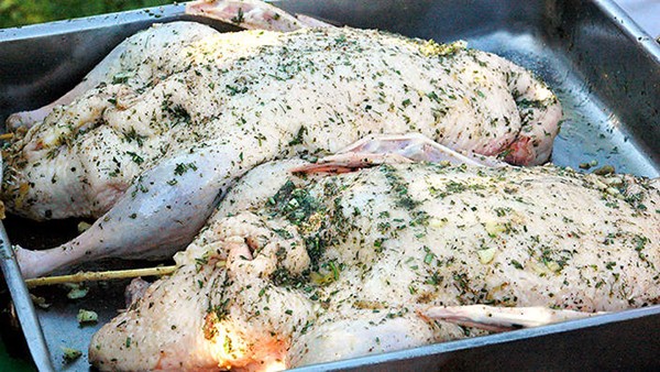 Stuffed roast duck (Anatra arrosto ripiena)