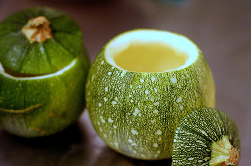 Stuffed rond de Nice squash