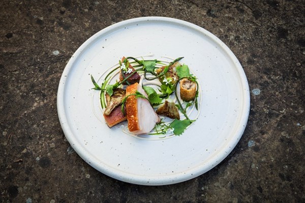 Suckling pig with artichokes, pine nut purée and hop shoots