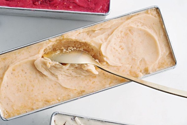Sugar-free rockmelon & yoghurt sorbet
