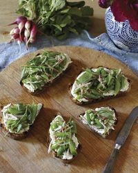 Sugar snap pea and whipped-ricotta tartines