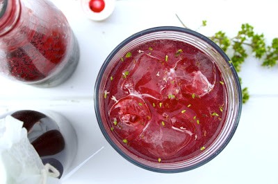 Summer berry and Pernod cordial