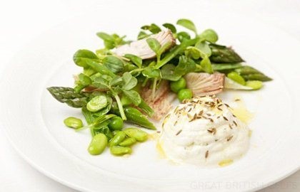 Summer garden salad