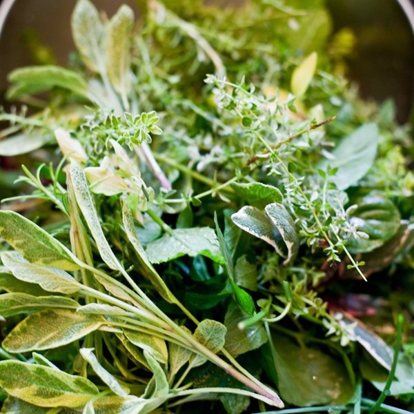 Summer herb vinaigrette