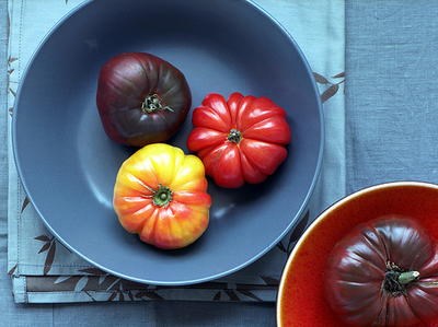 Summer roulade with tomatoes, cream cheese, and herbs