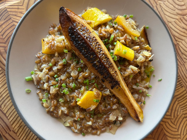 Summer squash rye-sotto