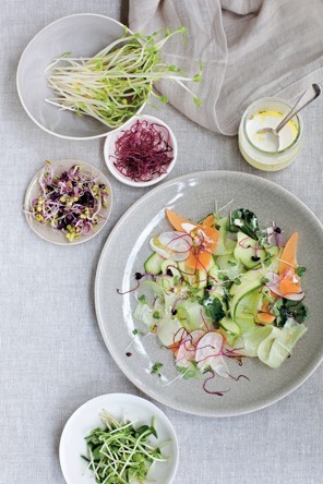 Summer vegetable carpaccio with horseradish dressing