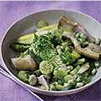 Summer vegetable ragout