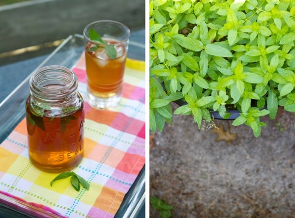 Sun tea
