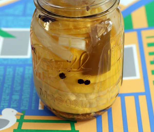Sunshine crookneck squash pickles