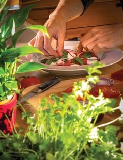 Super-fast but super-sexy tomato and mozzarella salad