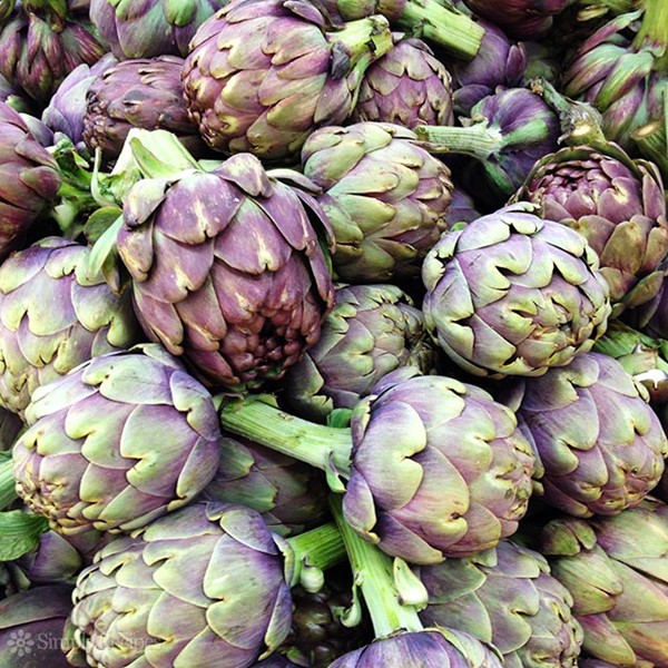 Sweet and sour glazed artichokes with caramelized onions