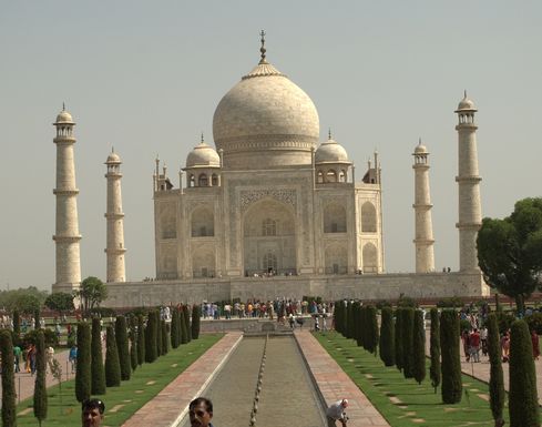Taj Mahal salad