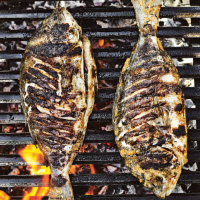 Tandoori sea bream