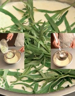 Tarragon & mustard ganache