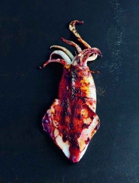 Tarragon squid