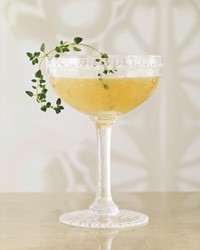 Tea thyme