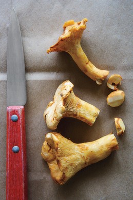 Tender chanterelle salad