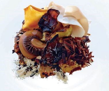 Textural mushrooms, eggplant, miso