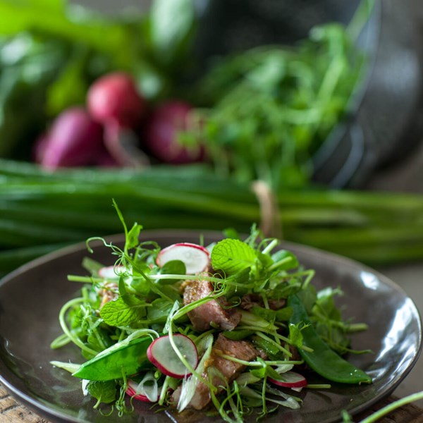 Thai-style beef salad with fresh mint and chilli lime dressing