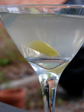 The aviatrix