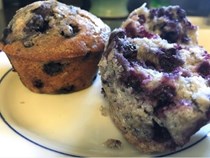 The best blueberry muffins