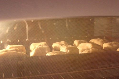 The best dinner rolls of your life