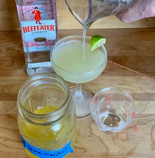 The gimlet [and lime cordial]